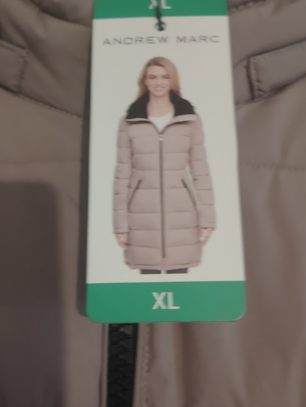 Jacket - Picture 4 of 4